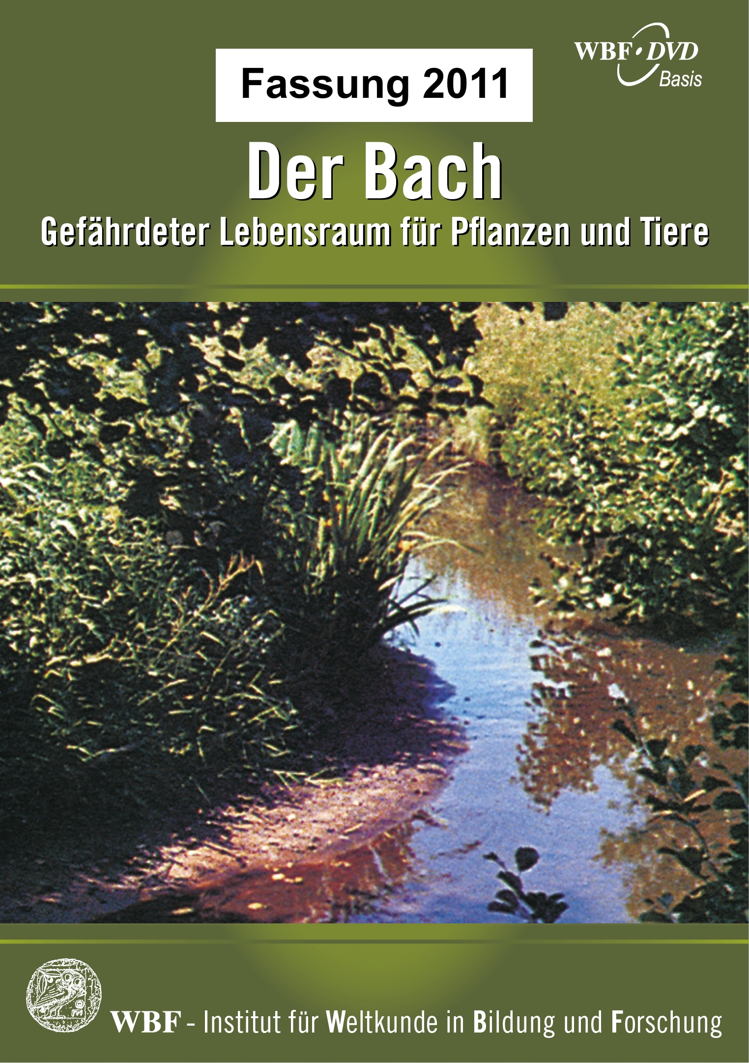 Der Bach | WBF - Innovative Medien Für Den Unterricht